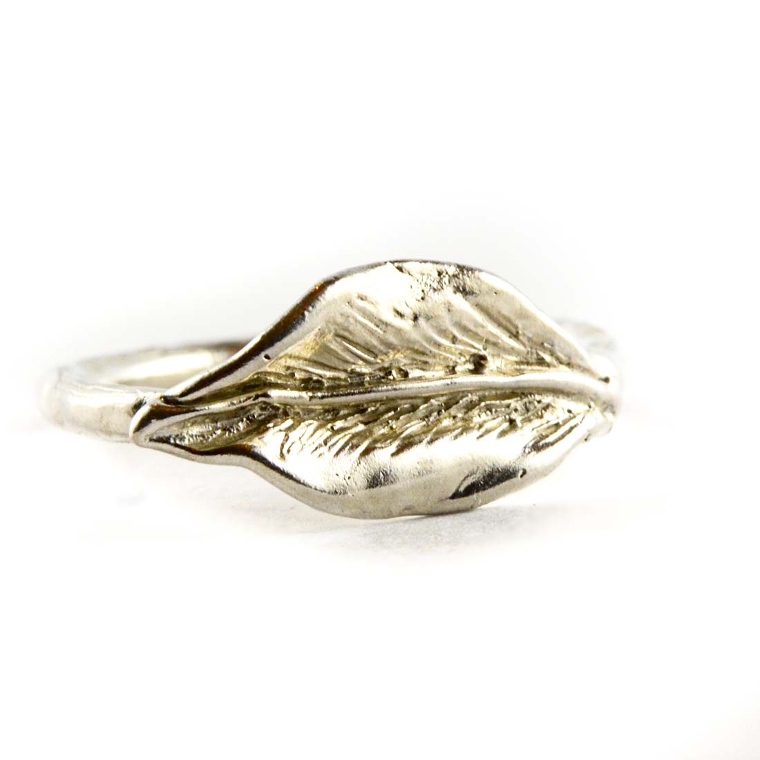 Anello Ficus