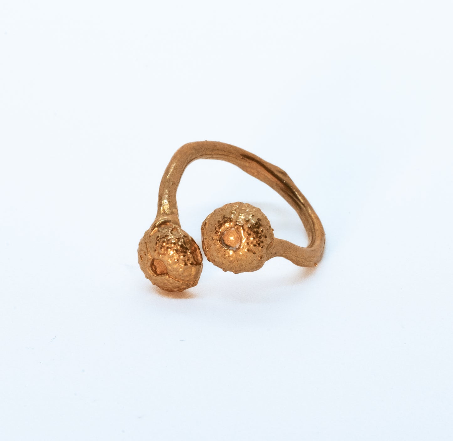 Anello Ricci di Mare Animali