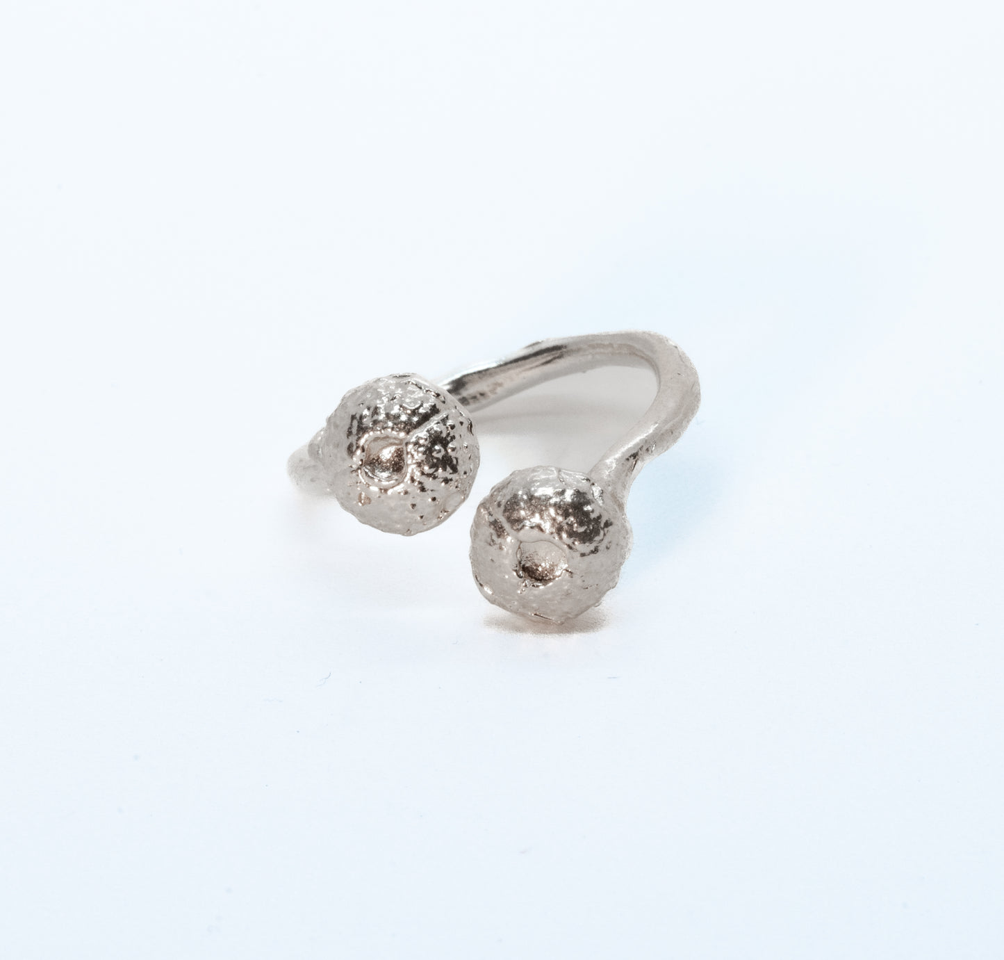 Anello Ricci di Mare Animali