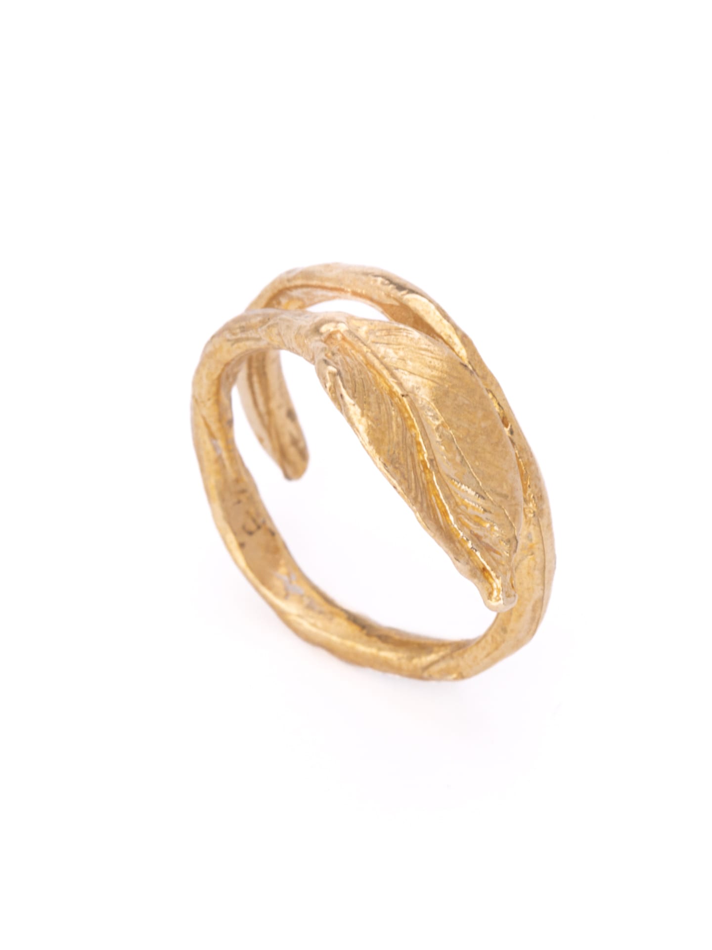 Anello Ficus