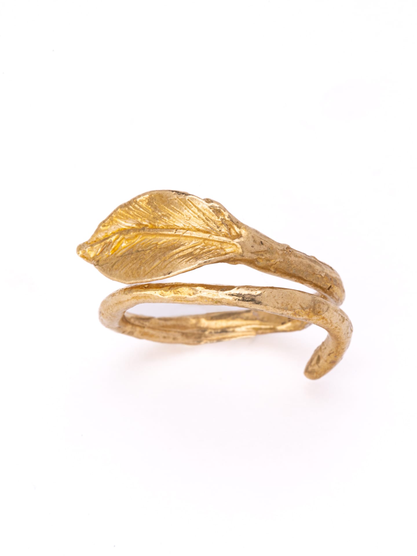 Anello Ficus