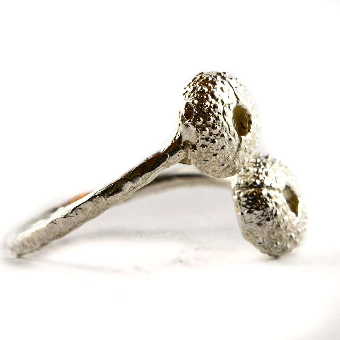 Anello Ricci di Mare Animali