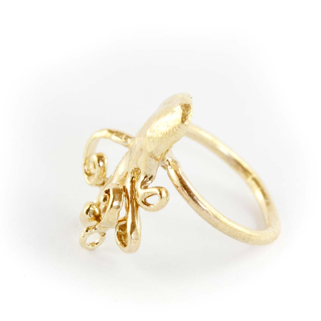 Anello Moscardino Animali