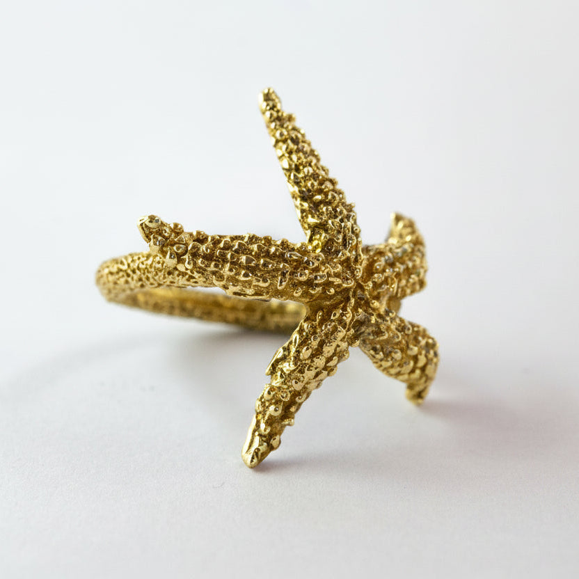 Anello Stella Marina Animali