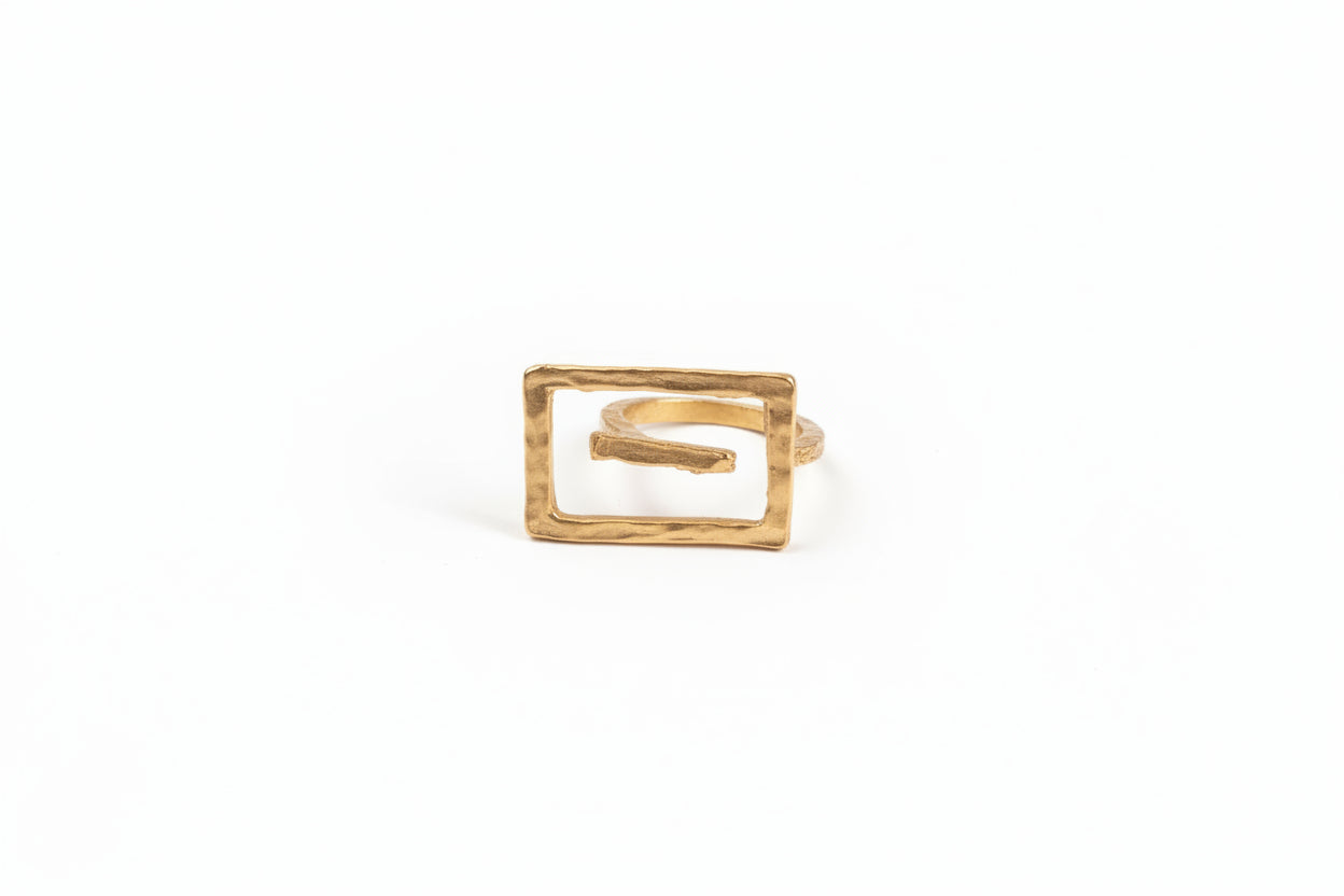 Anelli Geometrie