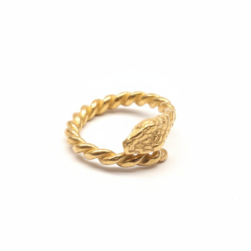 Anello Oroboro Animali