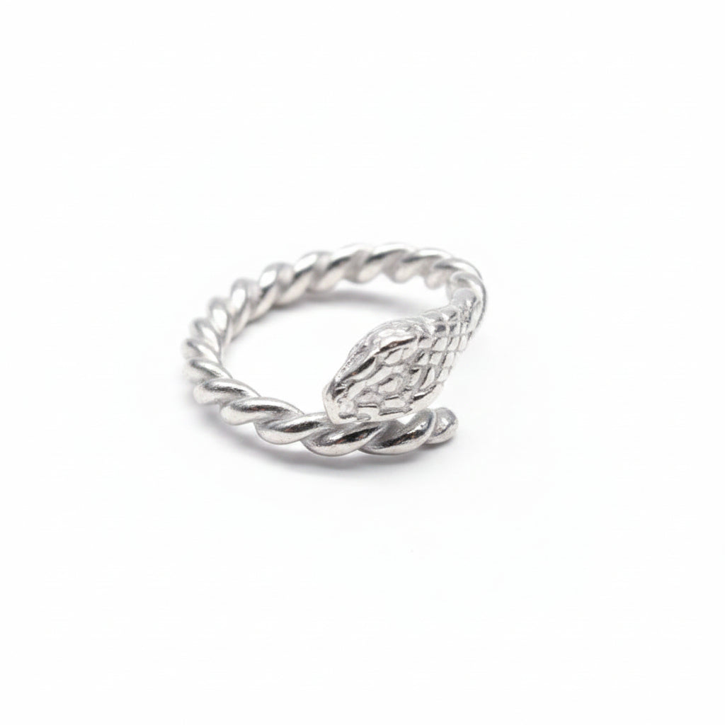 Anello Oroboro Animali