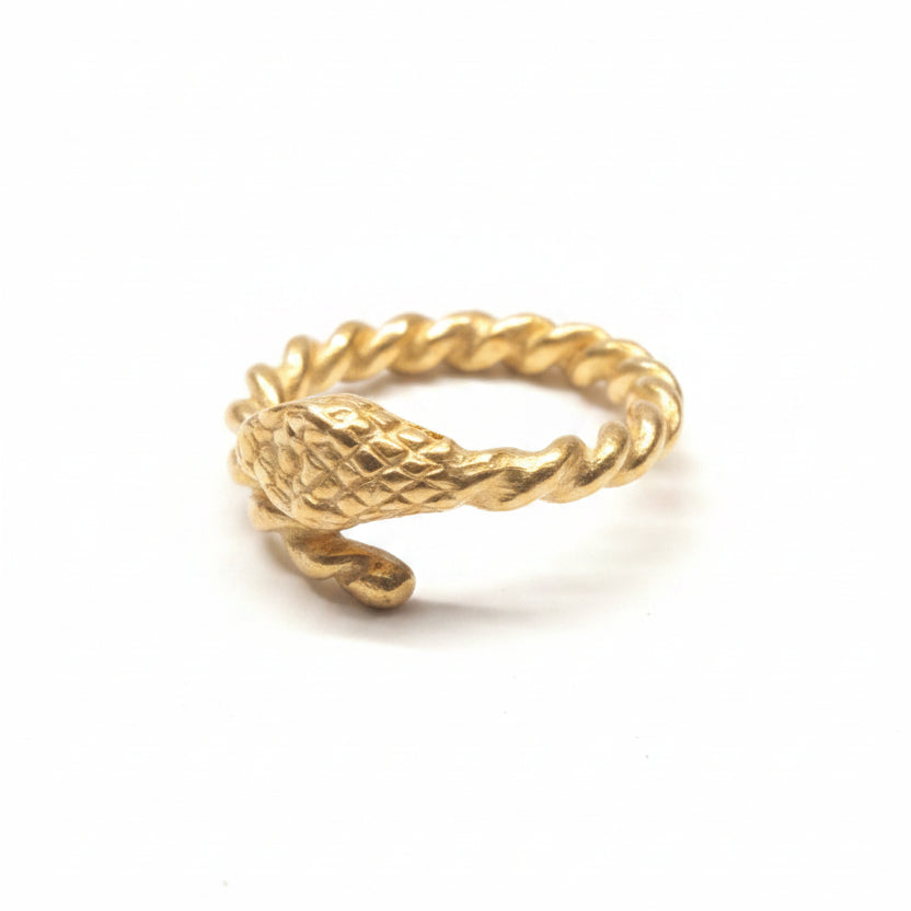 Anello Oroboro Animali