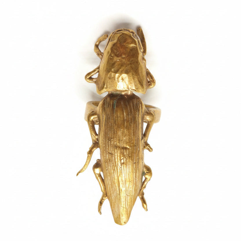 Anello Scarabeo